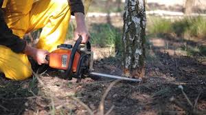 Best Lot and Land Clearing  in Mccullom Lake, IL