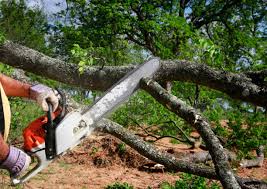 Best Hedge Trimming  in Mccullom Lake, IL